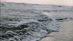 No se puede hablar de contaminación, dijo Intendencia tras informar niveles de coliformes en playas de Maldonado