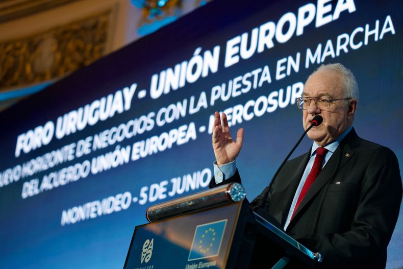 Mario Lubetkin dijo que es temprano para hacer un balance del acuerdo entre el Mercosur y la Unión Europea