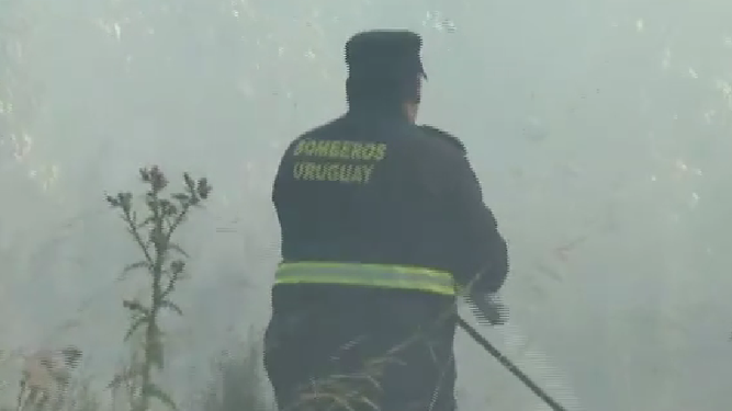 Incendio en predio militar de Toledo movilizó a brigadas forestales