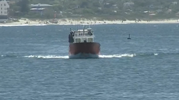 Dinara levantó la veda por marea roja en Maldonado&nbsp;