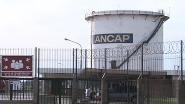 Ajuste de combustibles y falta de despacho de ANCAP afectan suministro de gasoil en plena zafra