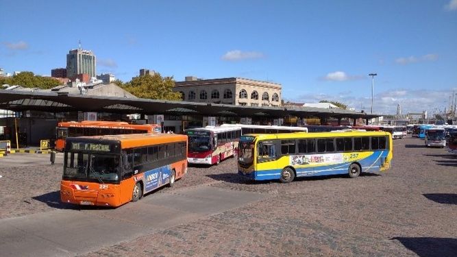 Ómnibus suburbanos.