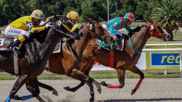 Hipódromo de Maroñas.