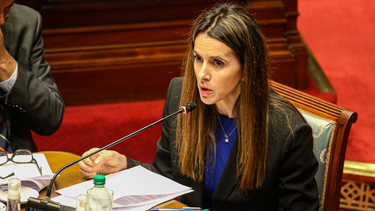 Investigaciones periodísticas vinculan al esposo de Carolina Ache con administrador de bienes de Yabrán