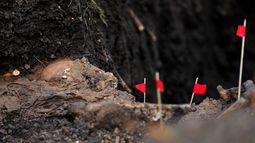 Presidenta de INDDHH dijo que no hay estimación de cuánto tiempo puede insumir la remoción de todos los restos