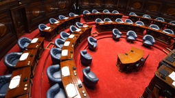 El Senado condenó por unanimidad el atentado contra Mónica Ferrero y ofreció su apoyo para aclarar el caso