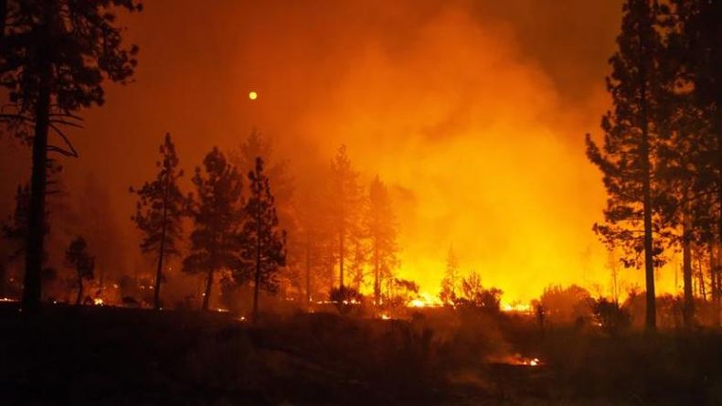 Confirman muerte de dos niños por incendios en California