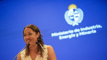 Cardona afirmó que el gobierno busca frenar las pérdidas del portland de Ancap y mantener las plantas