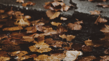 Turismo y otoño según Inumet: ¿cómo estará el tiempo y qué se prevé sobre las lluvias?