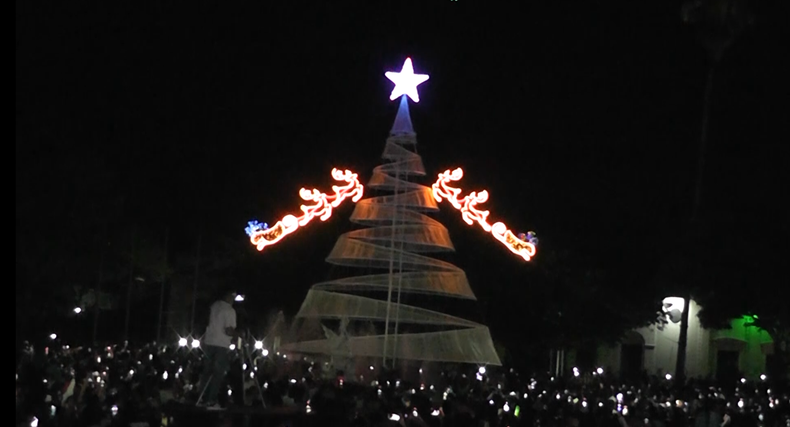 El árbol de Navidad más grande del interior.