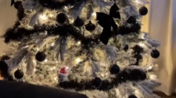 Una zarigüeya en un árbol de navidad.