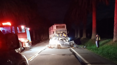 Un hombre falleció tras chocar de frente contra un camión.