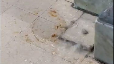 Gremio Estudiantil IAVA publicó un video del liceo inundado.