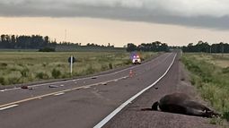 Hombre falleció tras siniestro de tránsito en Tacuarembó