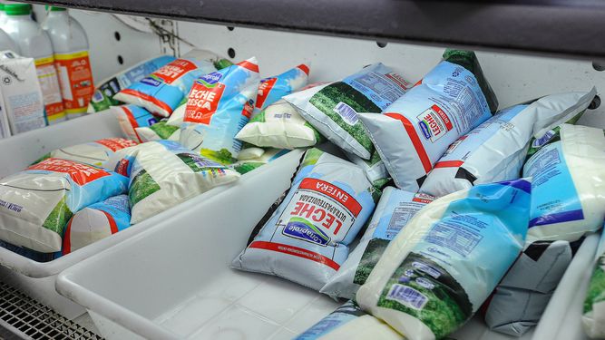 Conaprole: denuncian que la empresa tomó a los trabajadores de rehén y adelantan que se tirará leche