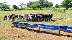 El MGAP extendió las medidas y el área comprendida por la emergencia agropecuaria