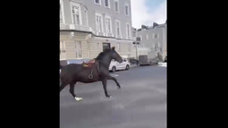 Tres caballos se escaparon de un cuartel y recorrieron al galope el centro de Londres