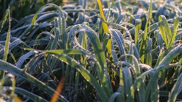 Jueves según Inumet.
