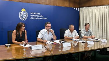 MGAP analizará con todos los actores el déficit hídrico antes de declarar la emergencia agropecuaria
