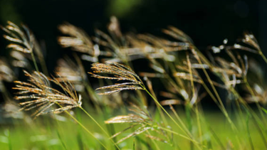 Inumet pronostica un jueves ventoso y con precipitaciones en la zona este: así estará la jornada