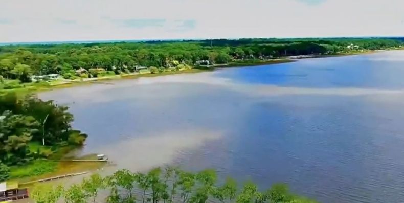 LAGUNA DEL SAUCE.JPG