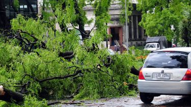 UTE informó sobre 10.280 servicios afectados en el interior del país