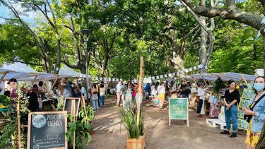 llega la segunda edicion de la bioferia al parque grauert