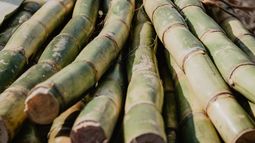 Cultivadores de caña de azúcar se reunieron con el gobierno