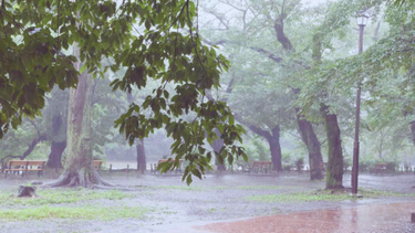 Lunes según Inumet.