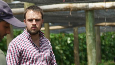 Diputado colorado advierte por leña que ingresa de contrabando infectada con larvas, insectos y gusanos