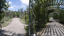 Otro homicidio en el Rosedal del Prado: la víctima estaba requerida por la muerte de un joven en el mismo lugar