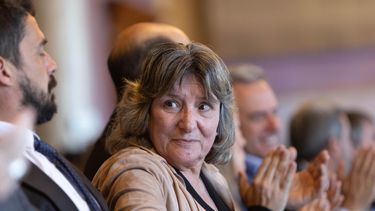 Diputada del FA pidió informes a ministerios por adopción de niño tramitada en Uruguay por caso Minetti