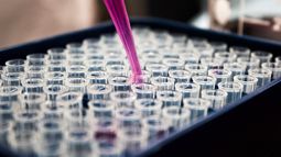 Rendición de Cuentas prevé inversión de U$S 26 millones en ciencia
