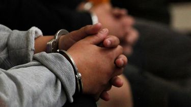 Tiene 18 antecedentes penales, robó un celular y vuelve a prisión