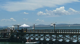 Lanzaron temporada de cruceros en Punta del Este.