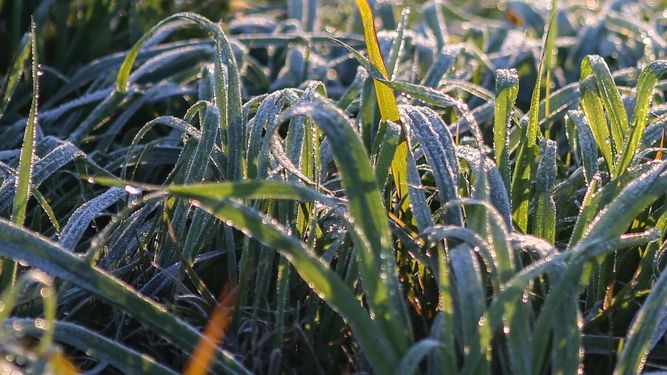 Jueves según Inumet.