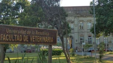 Una profesora de Veterinaria vendía resultados de parciales