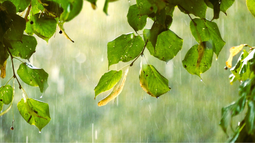 Inumet emitió alerta amarilla por persistencia de lluvias abundantes: las zonas afectadas