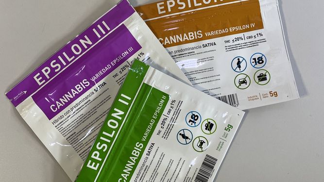 ¿Cuáles son las características de Épsilon, la nueva variante de cannabis disponible en farmacias?