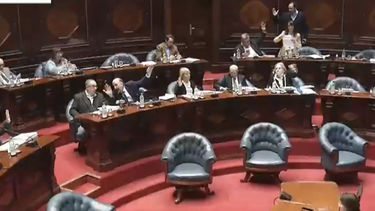 Cámara de Senadores aprobó por unanimidad el proyecto de ley de Cristina Lustemberg