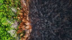 Inumet compareció en el Parlamento.&nbsp;