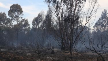 Quemas al aire libre están prohibidas a partir de este martes