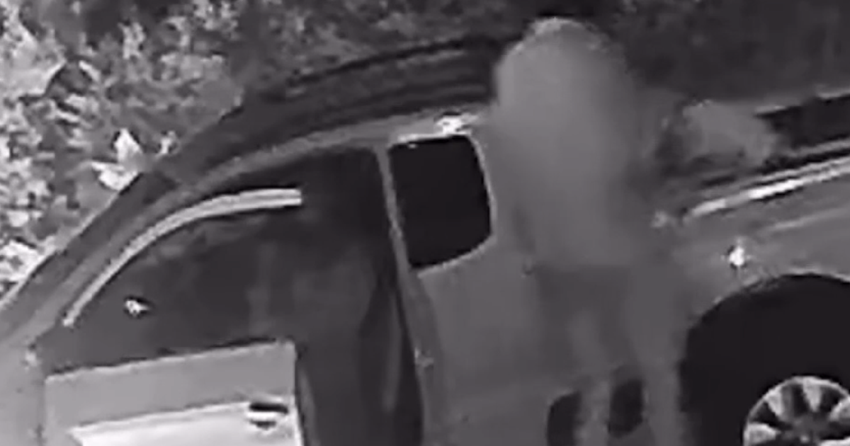 Abandonó a su perro y quedó filmado en Maldonado: buscan identificarlo y el animal no aparece