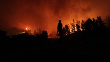 Bomberos advirtió por alto riesgo de incendios forestales en todo el país