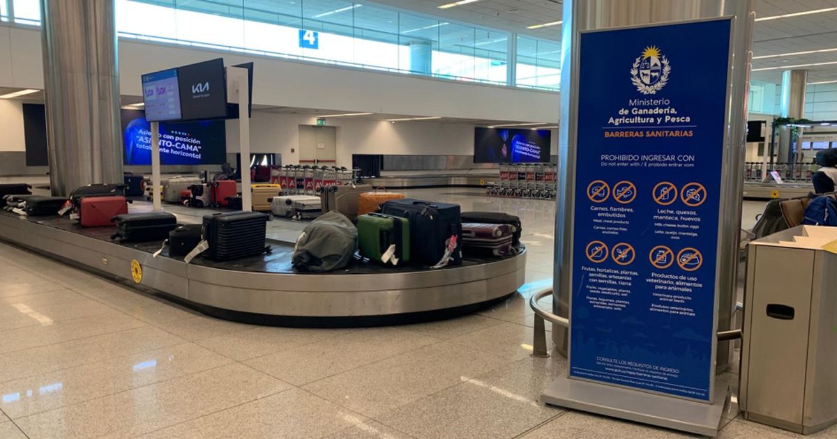 MGAP recuerda que se prohíbe ingresar al país con animales, plantas y productos de origen animal y vegetal