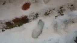 Granizada en Artigas.