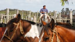 Día del trabajador rural.&nbsp;