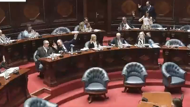 Cámara de Senadores aprobó por unanimidad el proyecto de ley de Cristina Lustemberg