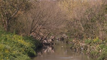 Investigan hallazgo de una mujer sin vida en el Arroyo Pantanoso