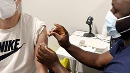 Vacunas contra la influenza en Maldonado por la gripe aviar.